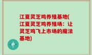 江夏灵芝鸡养殖基地(江夏灵芝鸡养殖场：让灵芝鸡飞上市场的魔法基地)