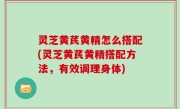 灵芝黄芪黄精怎么搭配(灵芝黄芪黄精搭配方法，有效调理身体)