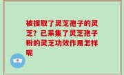 被提取了灵芝孢子的灵芝？已采集了灵芝孢子粉的灵芝功效作用怎样呢