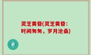 灵芝黄昏(灵芝黄昏：时间匆匆，岁月沧桑)