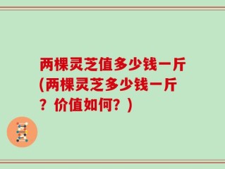 两棵灵芝值多少钱一斤(两棵灵芝多少钱一斤？价值如何？)