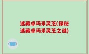 迷藏卓玛采灵芝(探秘迷藏卓玛采灵芝之谜)