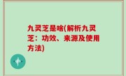 九灵芝是啥(解析九灵芝：功效、来源及使用方法)