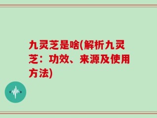 九灵芝是啥(解析九灵芝：功效、来源及使用方法)