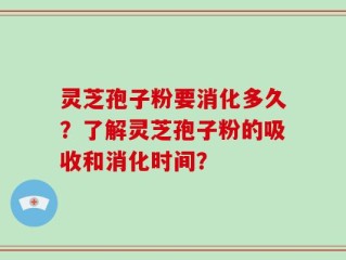灵芝孢子粉要消化多久？了解灵芝孢子粉的吸收和消化时间？