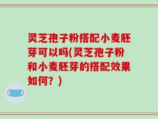 灵芝孢子粉搭配小麦胚芽可以吗(灵芝孢子粉和小麦胚芽的搭配效果如何？)