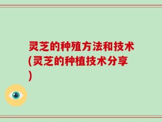 灵芝的种殖方法和技术(灵芝的种植技术分享)
