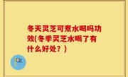 冬天灵芝可煮水喝吗功效(冬季灵芝水喝了有什么好处？)
