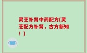 灵芝补肾中药配方(灵芝配方补肾，古方新知！)