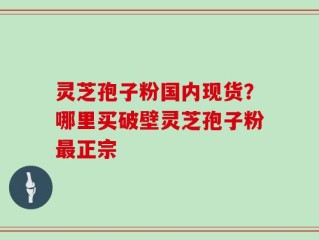 灵芝孢子粉国内现货？哪里买破壁灵芝孢子粉最正宗