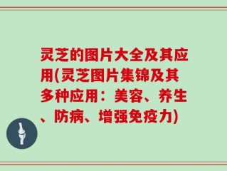 灵芝的图片大全及其应用(灵芝图片集锦及其多种应用：美容、养生、防病、增强免疫力)