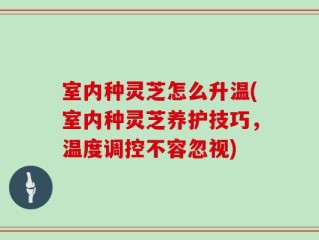 室内种灵芝怎么升温(室内种灵芝养护技巧，温度调控不容忽视)