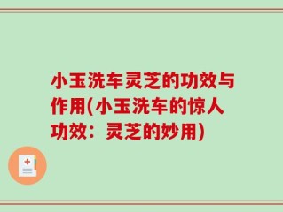 小玉洗车灵芝的功效与作用(小玉洗车的惊人功效：灵芝的妙用)
