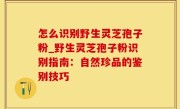 怎么识别野生灵芝孢子粉_野生灵芝孢子粉识别指南：自然珍品的鉴别技巧