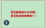 灵芝都是起什么作用(灵芝的功效有哪些？)