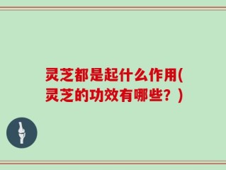 灵芝都是起什么作用(灵芝的功效有哪些？)