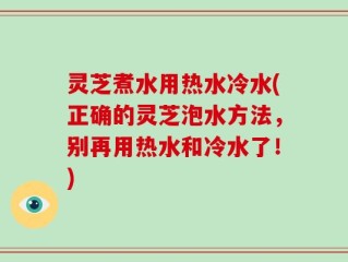 灵芝煮水用热水冷水(正确的灵芝泡水方法，别再用热水和冷水了！)