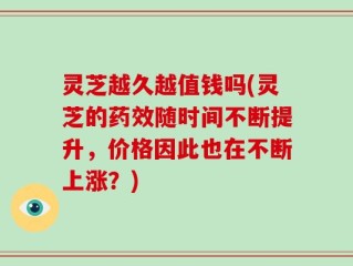 灵芝越久越值钱吗(灵芝的药效随时间不断提升，价格因此也在不断上涨？)