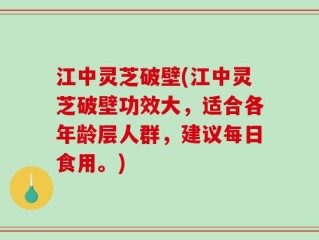 江中灵芝破壁(江中灵芝破壁功效大，适合各年龄层人群，建议每日食用。)