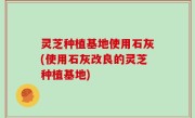灵芝种植基地使用石灰(使用石灰改良的灵芝种植基地)