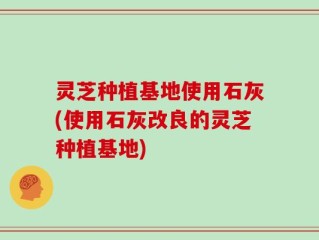 灵芝种植基地使用石灰(使用石灰改良的灵芝种植基地)