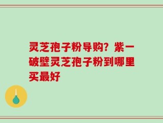 灵芝孢子粉导购？紫一破壁灵芝孢子粉到哪里买最好