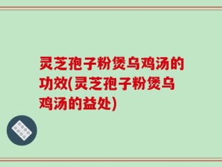 灵芝孢子粉煲乌鸡汤的功效(灵芝孢子粉煲乌鸡汤的益处)