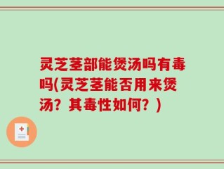 灵芝茎部能煲汤吗有毒吗(灵芝茎能否用来煲汤？其毒性如何？)