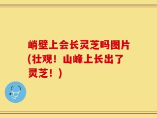 峭壁上会长灵芝吗图片(壮观！山峰上长出了灵芝！)