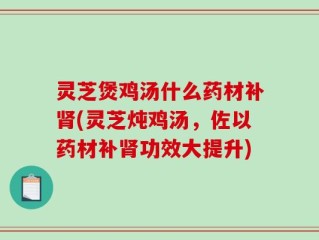 灵芝煲鸡汤什么药材补肾(灵芝炖鸡汤，佐以药材补肾功效大提升)