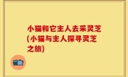 小猫和它主人去采灵芝(小猫与主人探寻灵芝之旅)