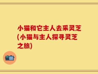 小猫和它主人去采灵芝(小猫与主人探寻灵芝之旅)