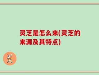 灵芝是怎么来(灵芝的来源及其特点)