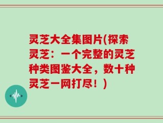 灵芝大全集图片(探索灵芝：一个完整的灵芝种类图鉴大全，数十种灵芝一网打尽！)