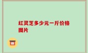 红灵芝多少元一斤价格图片