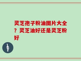 灵芝孢子粉油图片大全？灵芝油好还是灵芝粉好