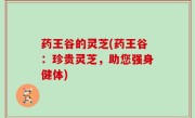 药王谷的灵芝(药王谷：珍贵灵芝，助您强身健体)