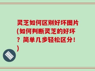 灵芝如何区别好坏图片(如何判断灵芝的好坏？简单几步轻松区分！)