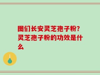 图们长安灵芝孢子粉？灵芝孢子粉的功效是什么