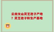 云南文山灵芝孢子产地？灵芝孢子粉生产基地
