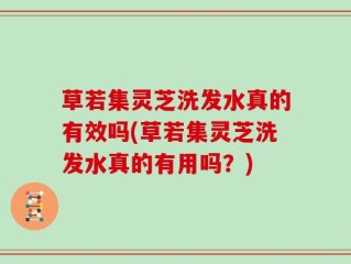 草若集灵芝洗发水真的有效吗(草若集灵芝洗发水真的有用吗？)