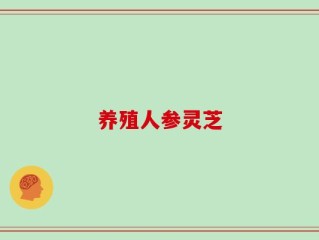 养殖人参灵芝
