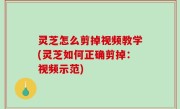 灵芝怎么剪掉视频教学(灵芝如何正确剪掉：视频示范)