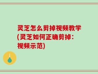 灵芝怎么剪掉视频教学(灵芝如何正确剪掉：视频示范)