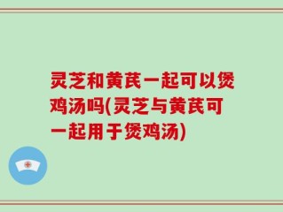 灵芝和黄芪一起可以煲鸡汤吗(灵芝与黄芪可一起用于煲鸡汤)