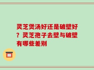 灵芝煲汤好还是破壁好？灵芝孢子去壁与破壁有哪些差别
