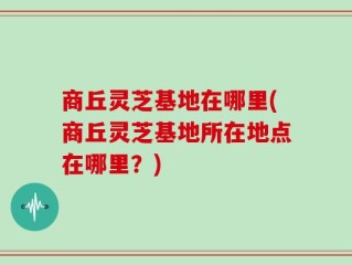 商丘灵芝基地在哪里(商丘灵芝基地所在地点在哪里？)