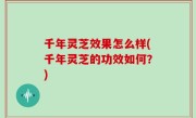 千年灵芝效果怎么样(千年灵芝的功效如何？)