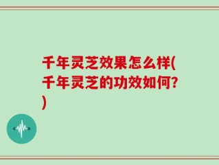 千年灵芝效果怎么样(千年灵芝的功效如何？)