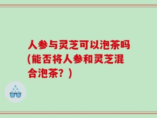人参与灵芝可以泡茶吗(能否将人参和灵芝混合泡茶？)